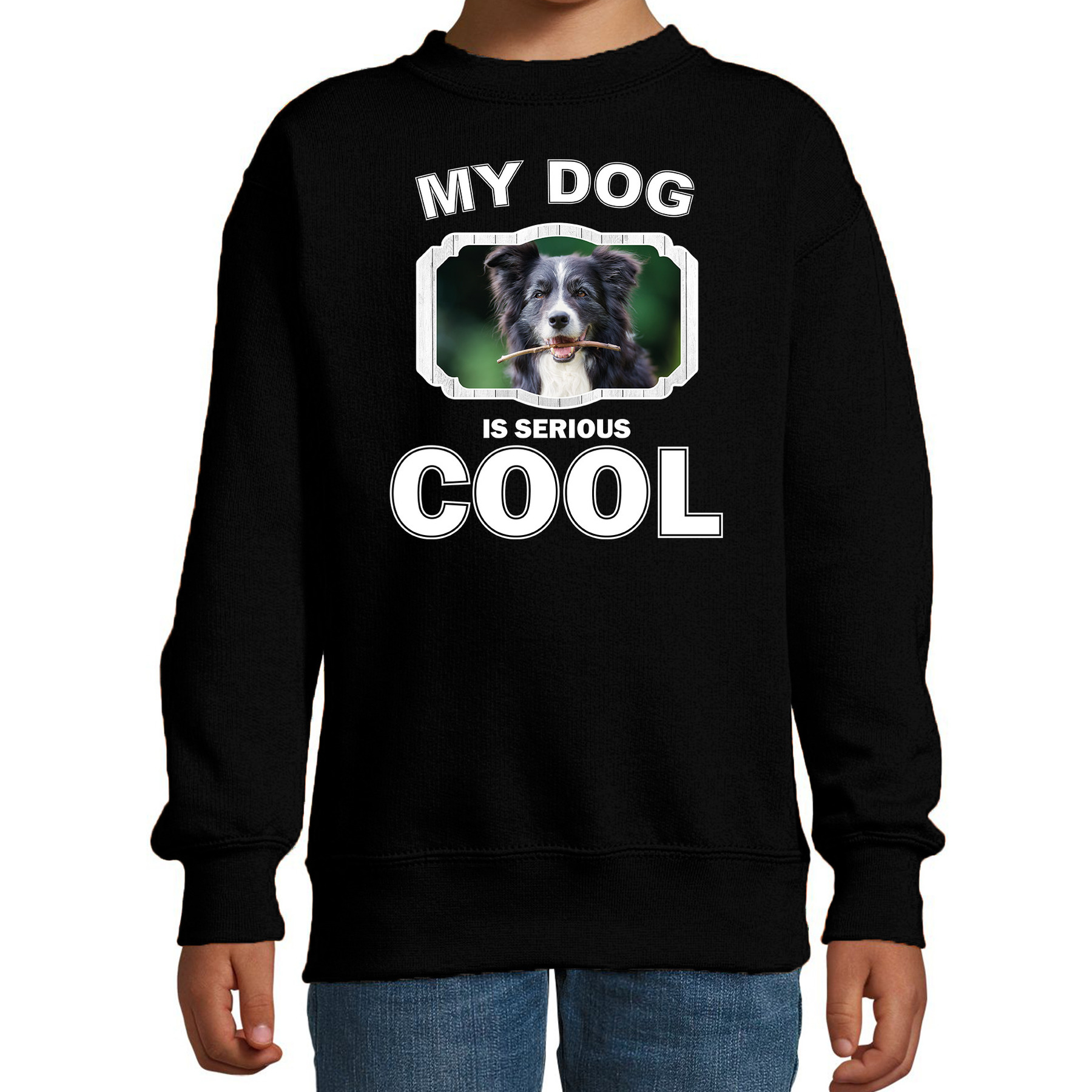 Border collie honden trui-sweater my dog is serious cool zwart voor kinderen