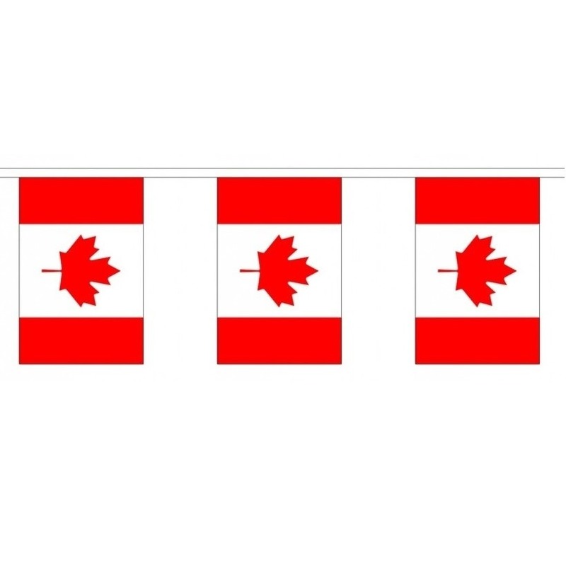 Canada vlaggenlijn van stof 3 m