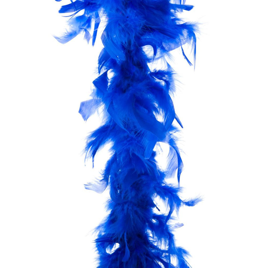 Carnaval verkleed veren Boa kleur blauw 2 meter
