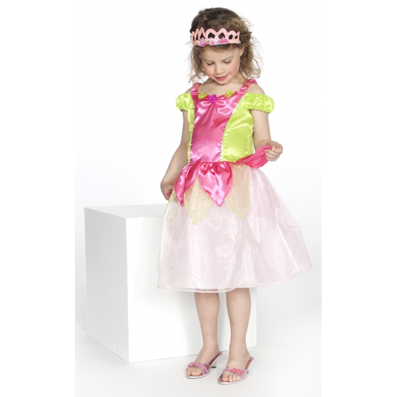 Carnaval verkleedkleding prinses roze/groen meisjes
