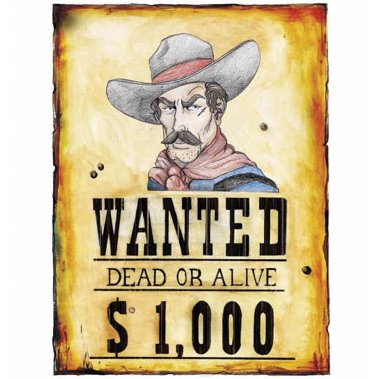 Cowboy/western decoratie bord Wanted Dead or Alive