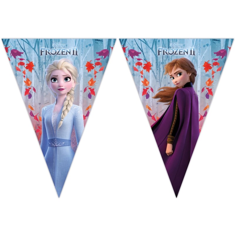 Disney Frozen 2 vlaggenlijn 2 meter
