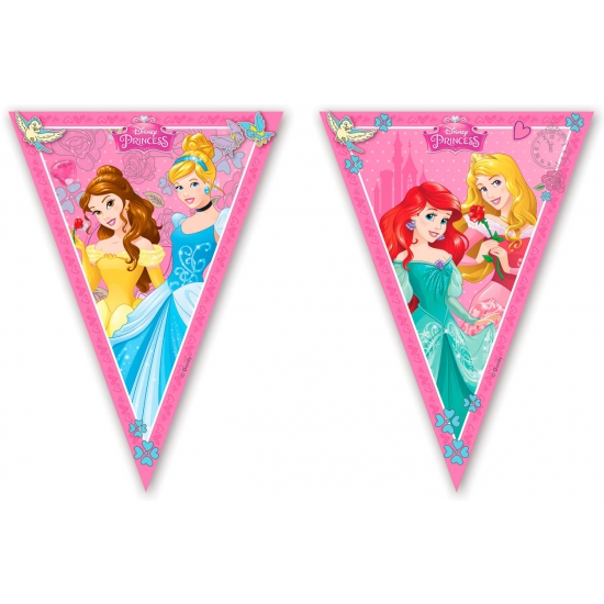Disney prinses vlaggenlijnen 2,3 m