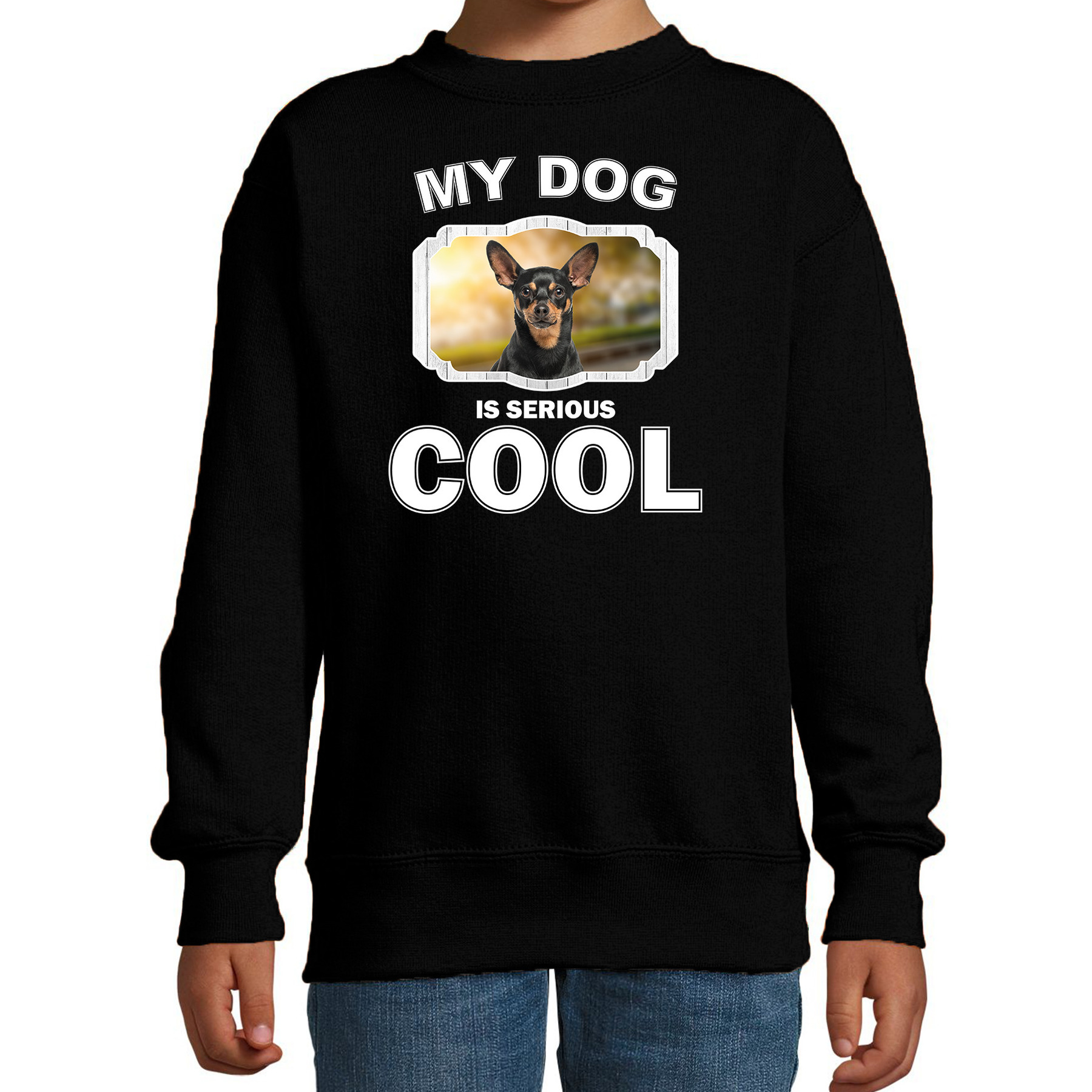 Dwergpinscher honden trui-sweater my dog is serious cool zwart voor kinderen