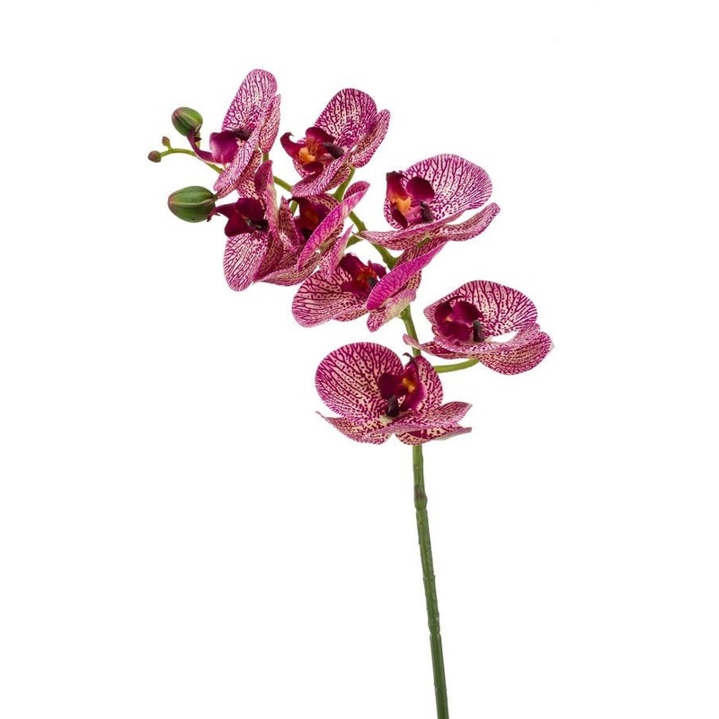 Fuchsia roze Phaleanopsis/vlinderorchidee kunstbloem 70 cm