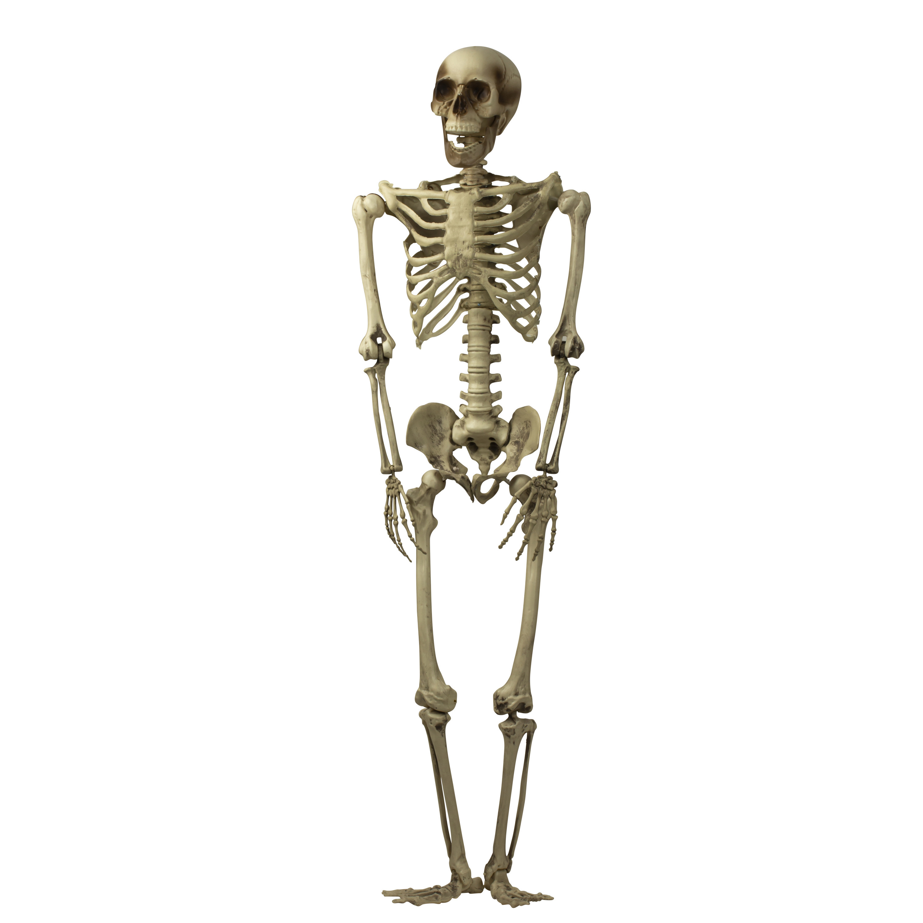 Halloween-horror thema hang decoratie skelet met LED licht ogen griezel pop 160 cm