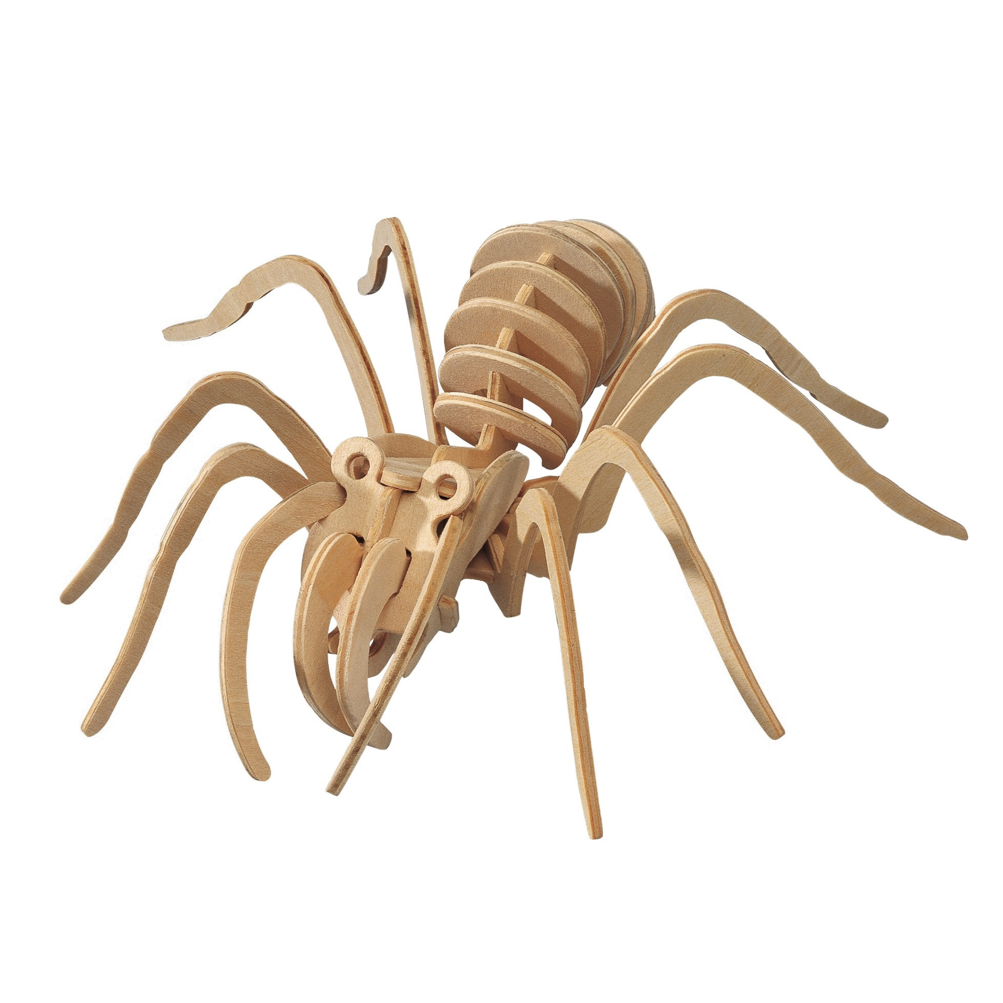 Houten 3D puzzel tarantula spin 23 cm