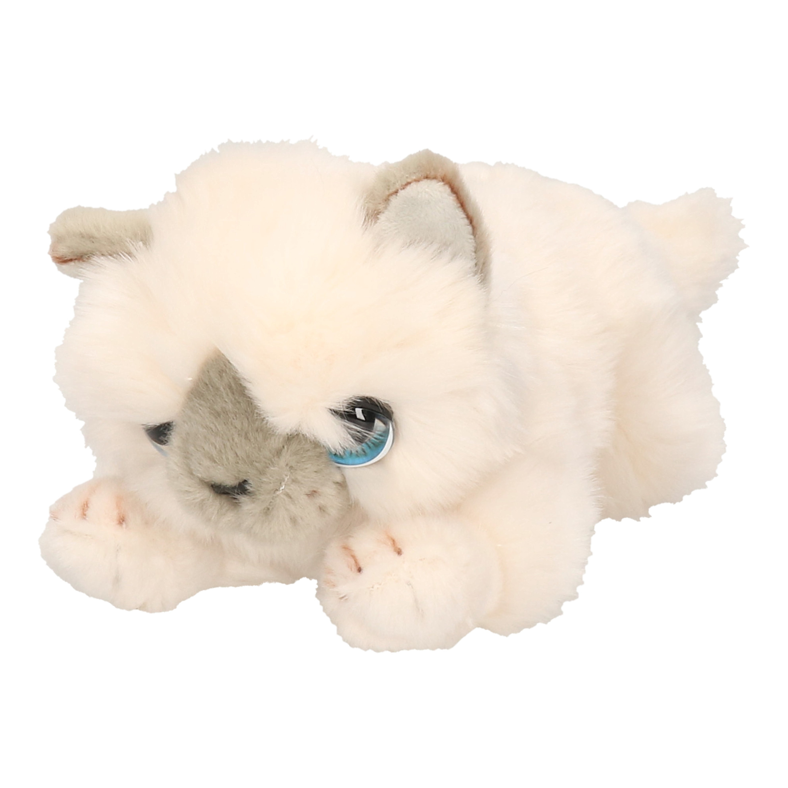 Keel Toys pluche witte katten/poes/poezen knuffel 25 cm