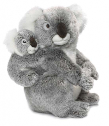 Koala knuffels 28 cm