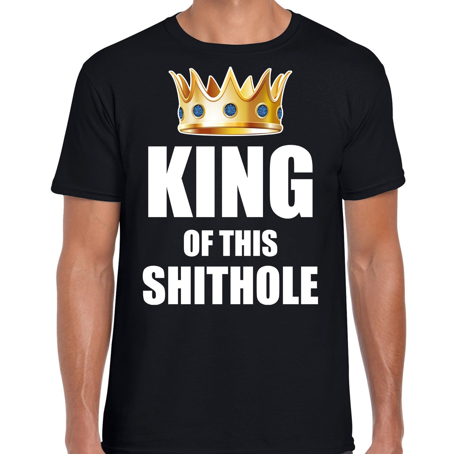 Koningsdag t-shirt King of this shit hole party zwart voor heren