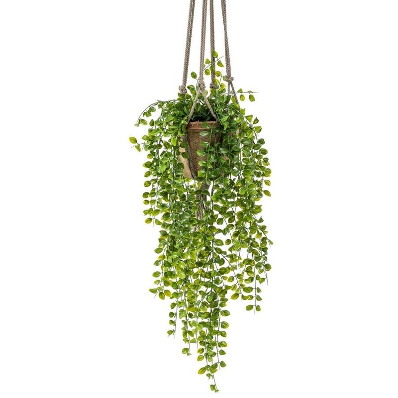Kunst hangplant Ficus in pot met touwen 16 cm