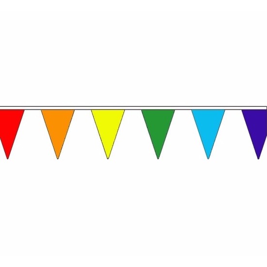 Luxe regenboog vlaggenlijn voor binnen en buiten