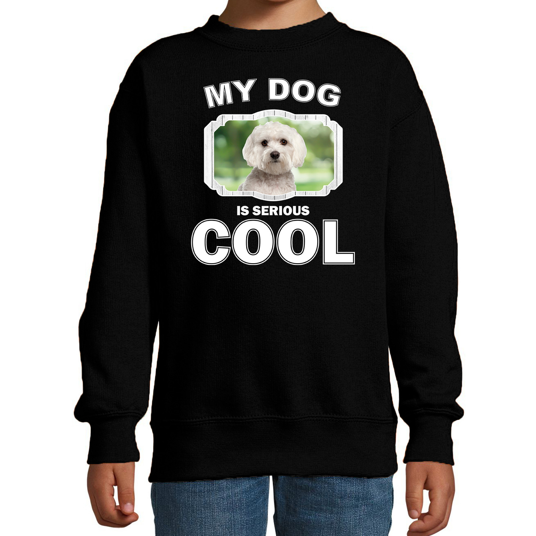 Maltezer honden trui-sweater my dog is serious cool zwart voor kinderen