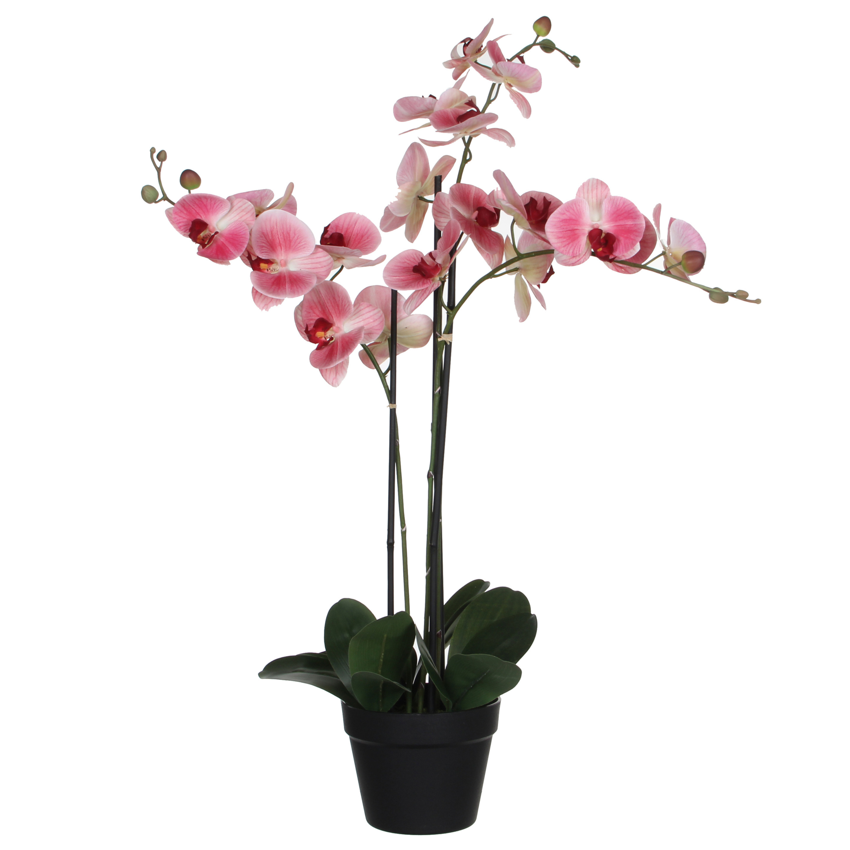 Mica Decorations Orchidee bloem kunstplant - roze - H75 x B50 cm