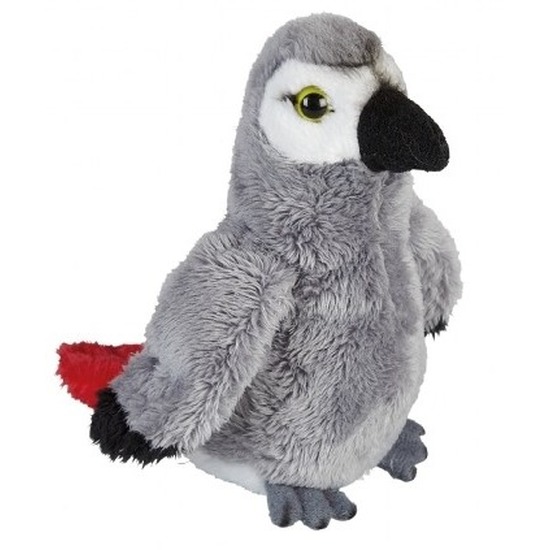 Papegaaien speelgoed artikelen knuffelbeest 15 cm