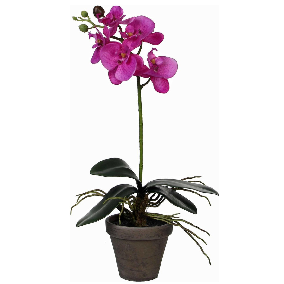 Phalaenopsis Orchidee kunstplant paars in grijze pot H38 x D13 cm