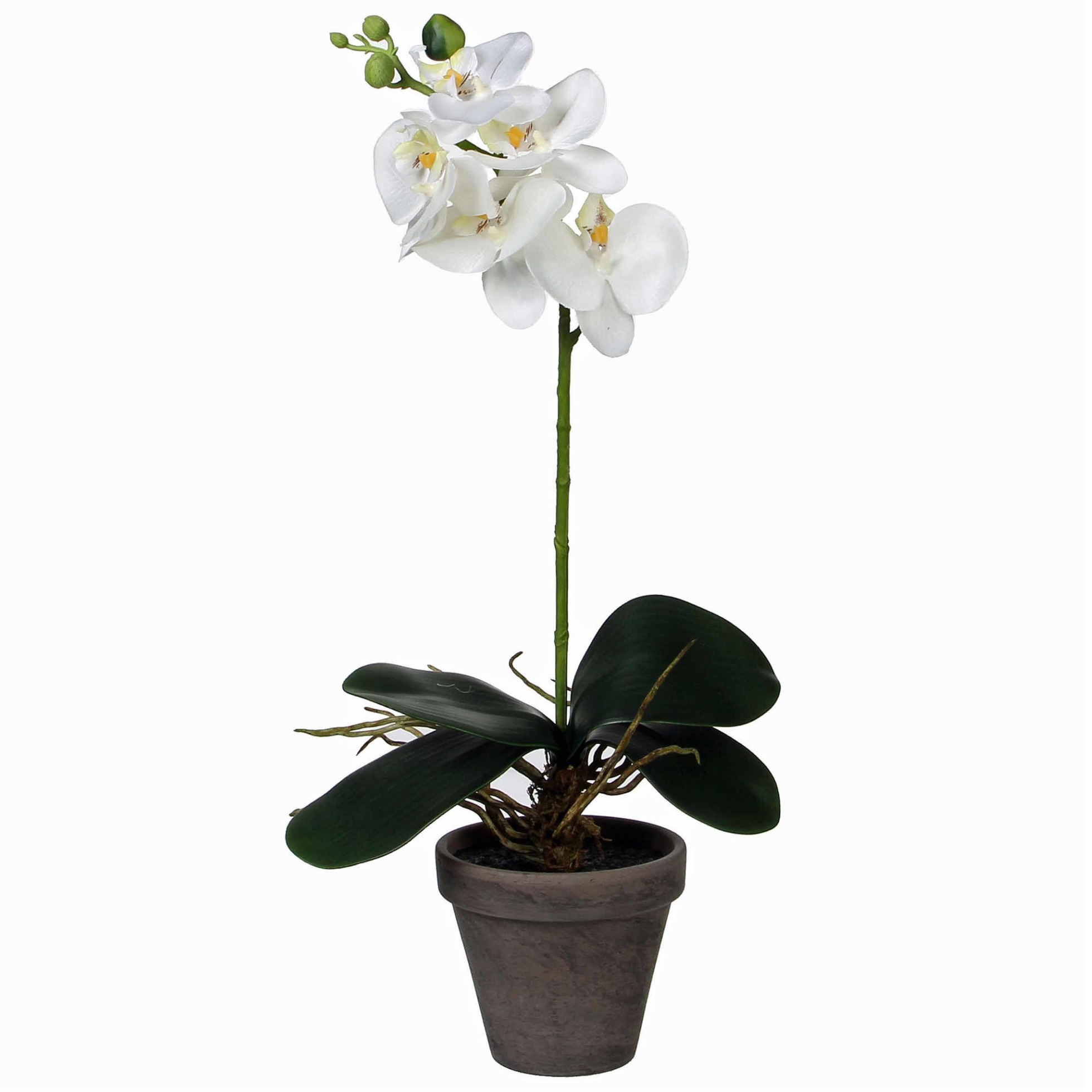 Phalaenopsis Orchidee kunstplant wit in grijze pot H38 x D13 cm