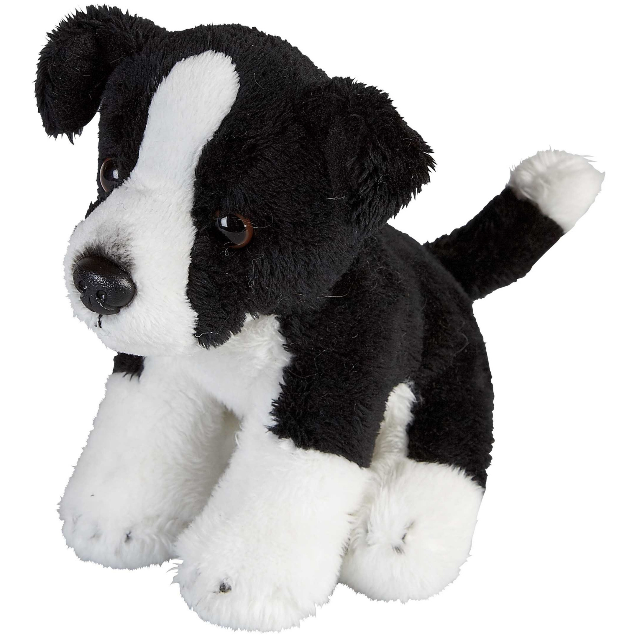 Pluche knuffel dieren Border Collie hond van 15 cm