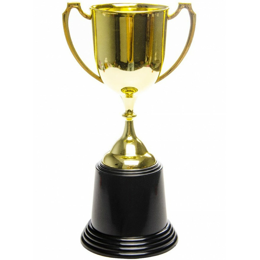 Prijsbeker-trofee met handvatten goud kunststof 23 cm