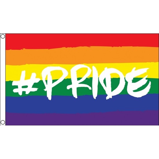 Regenboog LGBT vlag 90 x 150 cm hashtag pride