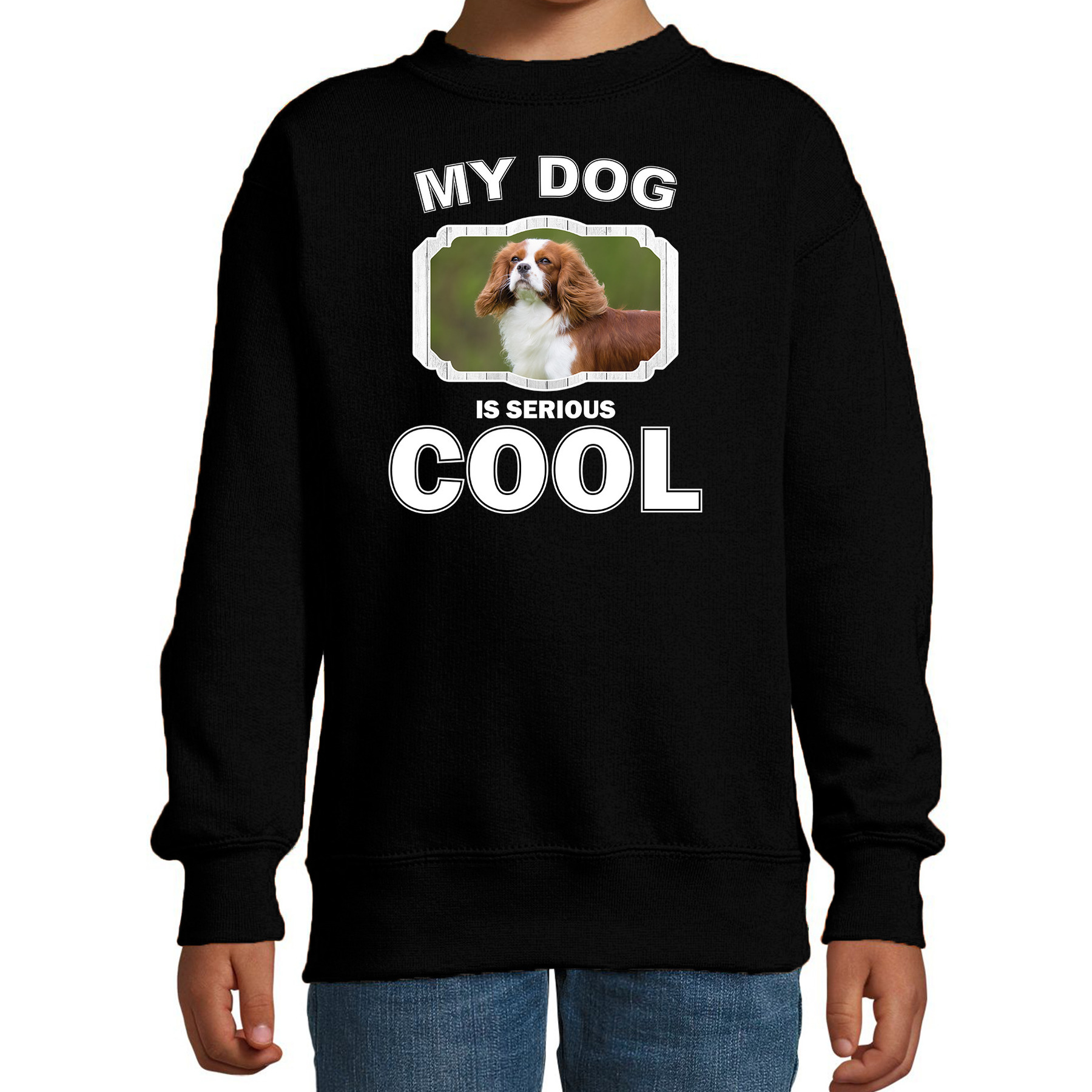 Spaniel honden trui-sweater my dog is serious cool zwart voor kinderen