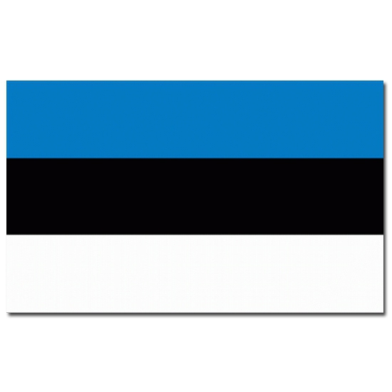 Vlag Estland 90 x 150 cm feestartikelen