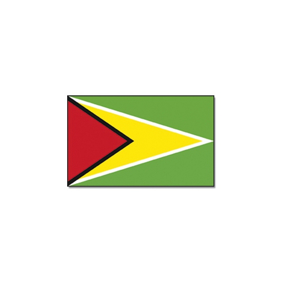 Vlag Guyana 90 x 150 feestartikelen