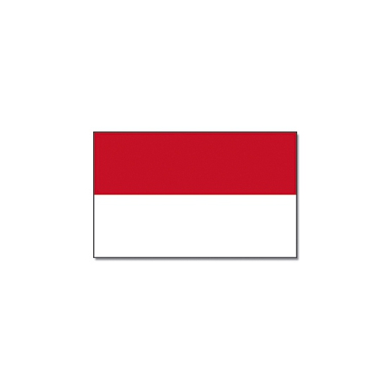 Vlag Indonesie 90 x 150 cm feestartikelen