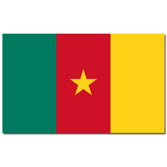 Vlag Kameroen 90 x 150 cm feestartikelen