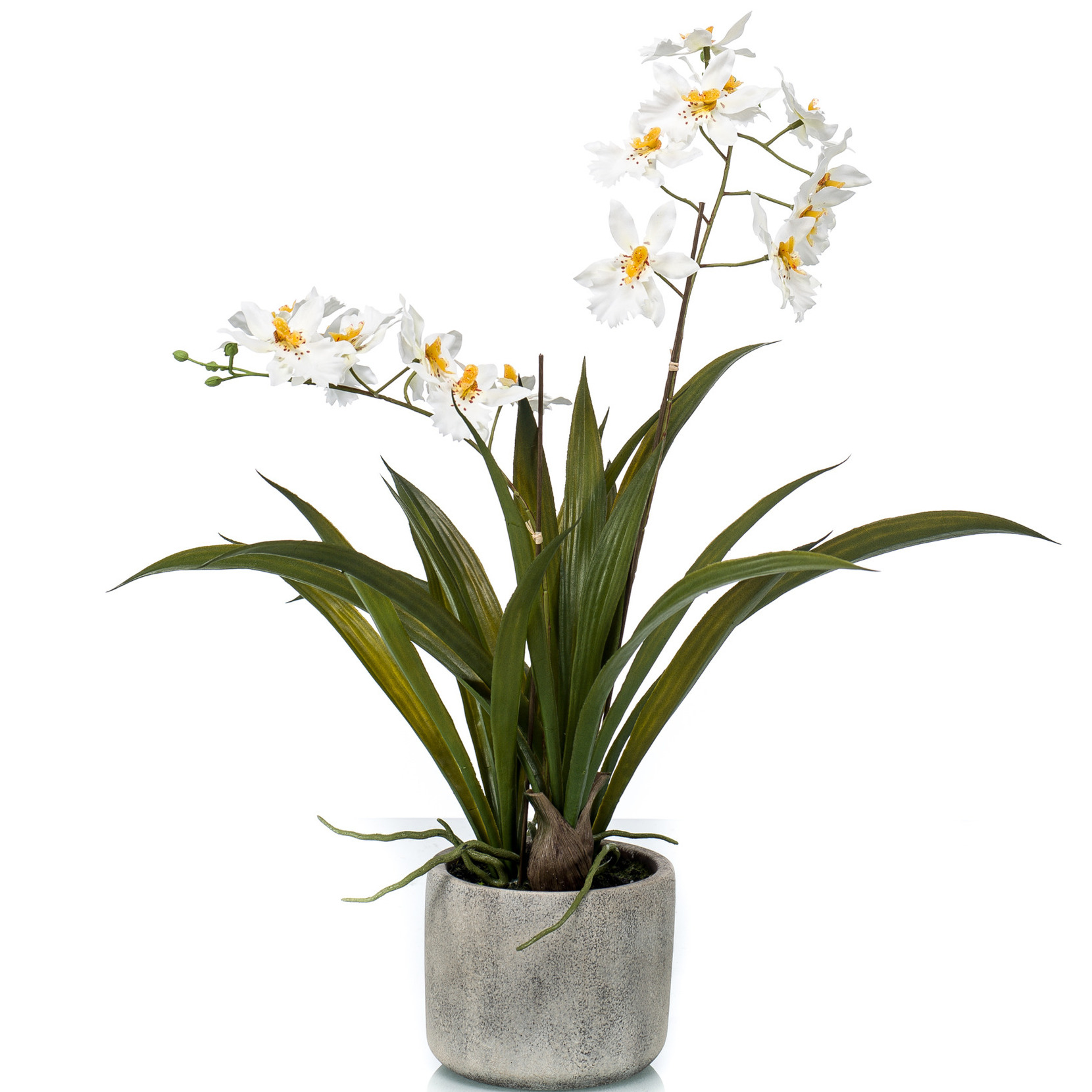 Witte orchidee Orchidaceae kunstplant in keramische pot 45 cm