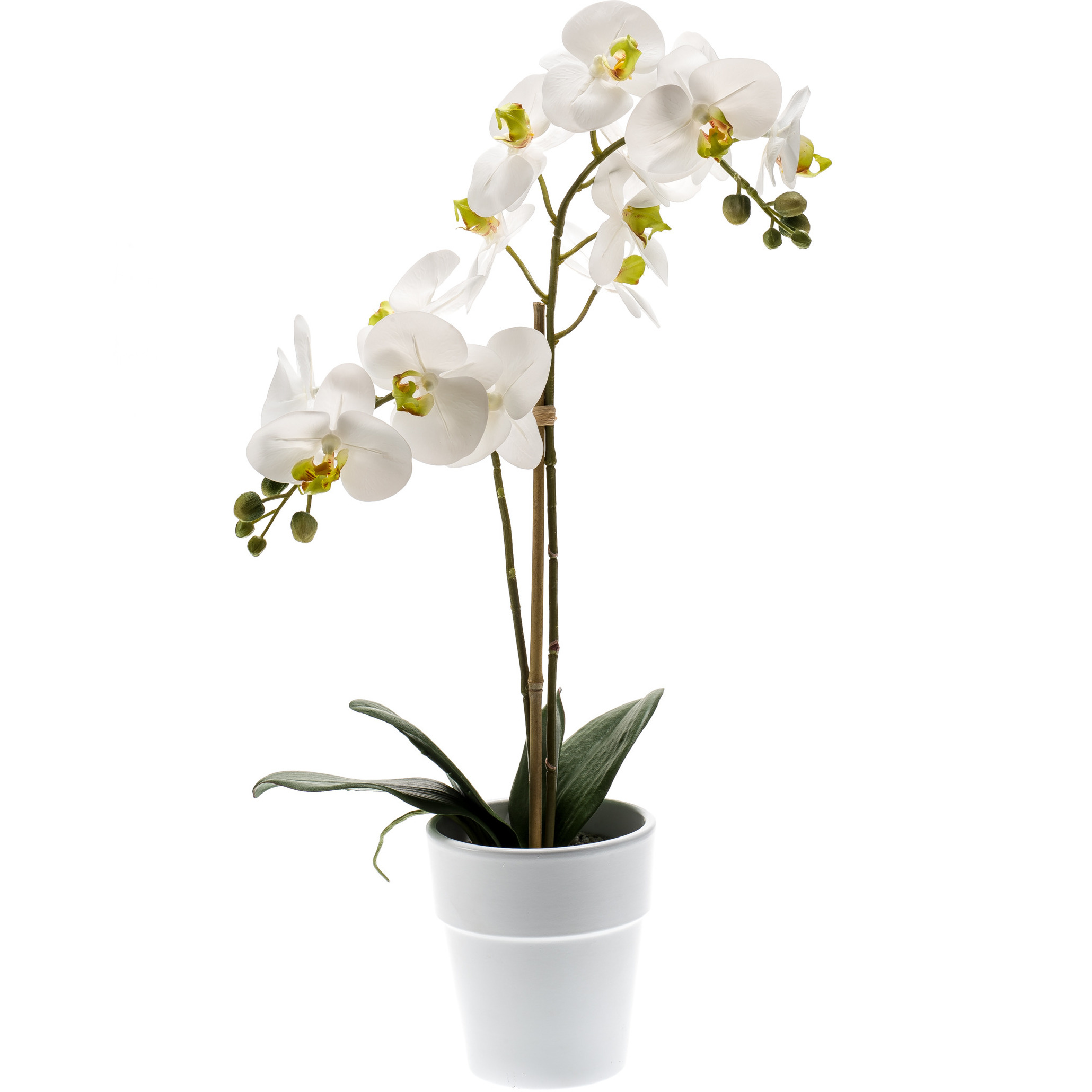 Witte orchidee Orchidaceae kunstplant in kunststof pot 65 cm
