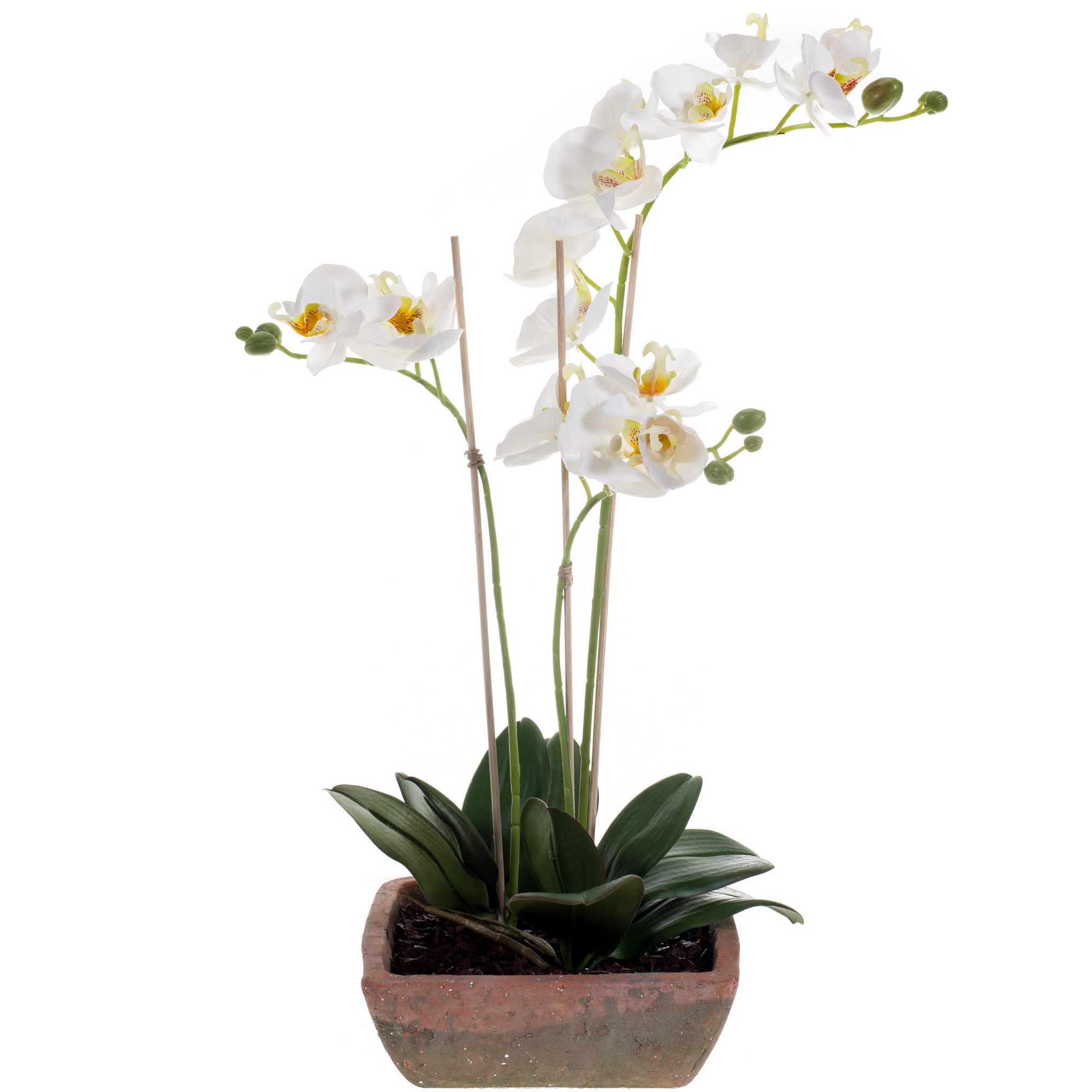 Witte orchidee Orchidaceae kunstplant in terracotta pot 50 cm