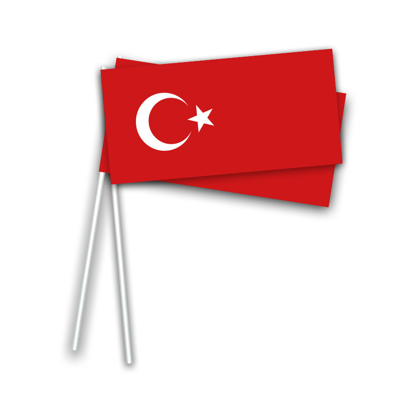 Zwaai/hand vlaggetjes Turkije 50x stuks 21 x 12 cm