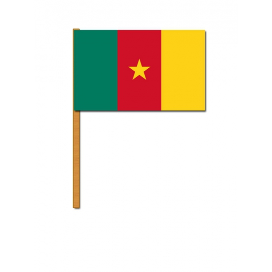 Zwaaivlaggetjes Kameroen