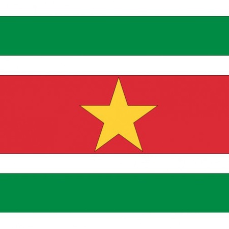 10x stuks Vlag van Suriname plakstickers