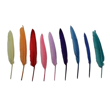 20x coloured feathers 15 - 20 cm