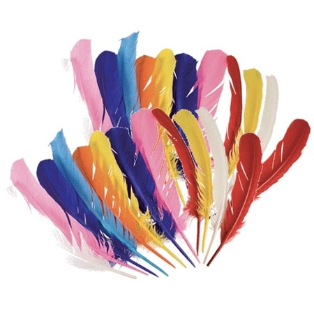 Colored Indian feathers 24 pieces