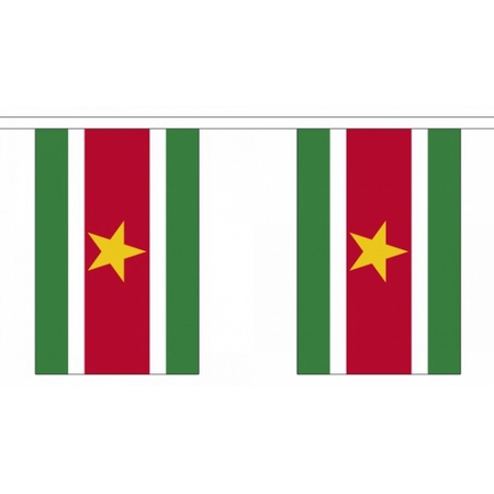 Suriname vlaggen versiering set binnen/buiten 2-delig