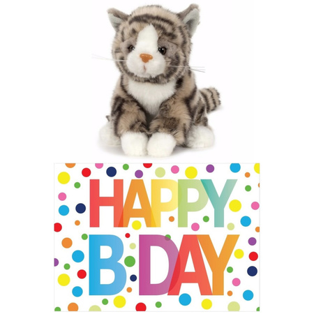 Plush grey cat cuddle toy 16 cm with Happy Birthday card