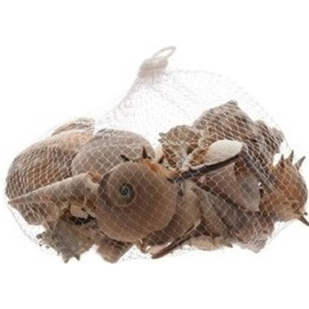 Decorative/hobby brown shells 350 grams