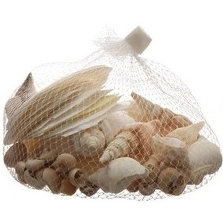 Decorative/hobby white/brown shells 350 grams