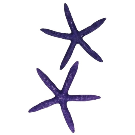 Woondecoratie zeesterren paars
