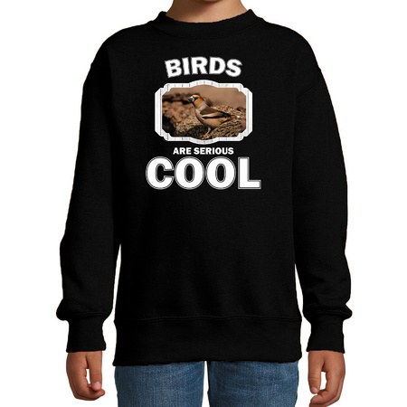 Animal hawfinches are cool sweater black for children