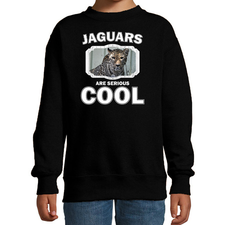 Animal jaguars are cool sweater black for children