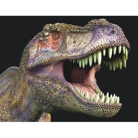 Dieren magneet 3D T-rex