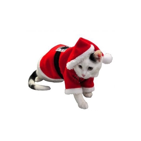 Christmas uit for cats and dogs