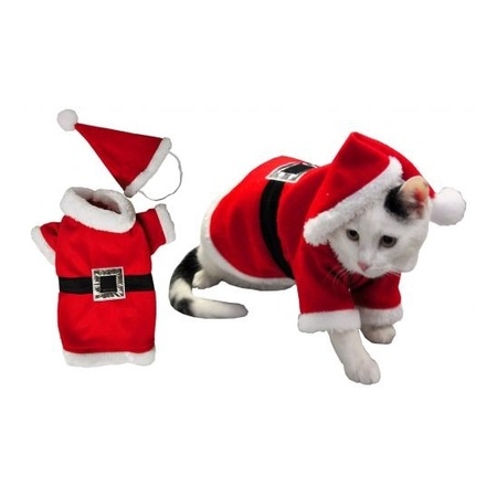 Kerstmannen pak voor huisdieren