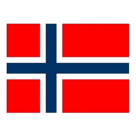 Mini flag Norway 60 x 90 cm