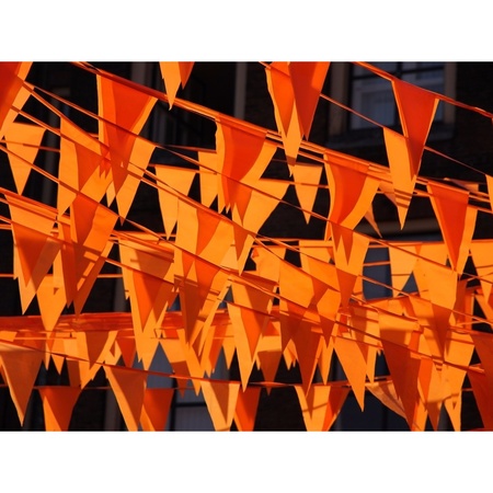 Oranje plastic buiten feest vlaggetjes 10 meter
