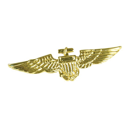 Carnaval aircraft Pilot set - hat - black - with golden wings broche - for men/woman